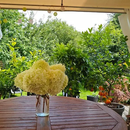 Maison Avec En Bord De *